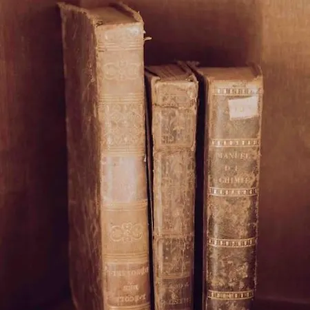 Apartment La Salle Des Sortileges